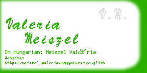 valeria meiszel business card